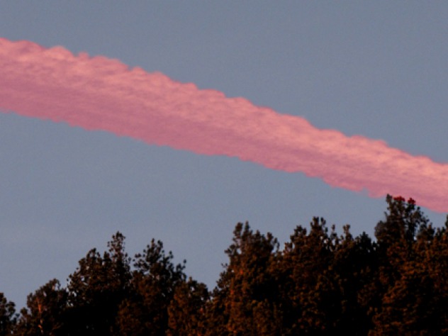 Pink Winter Dawn Jan 11, 2010