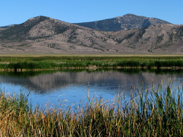 Ruby Lake National Wildlife Refuge NV