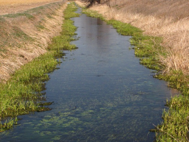 On the Platte and In the Blind