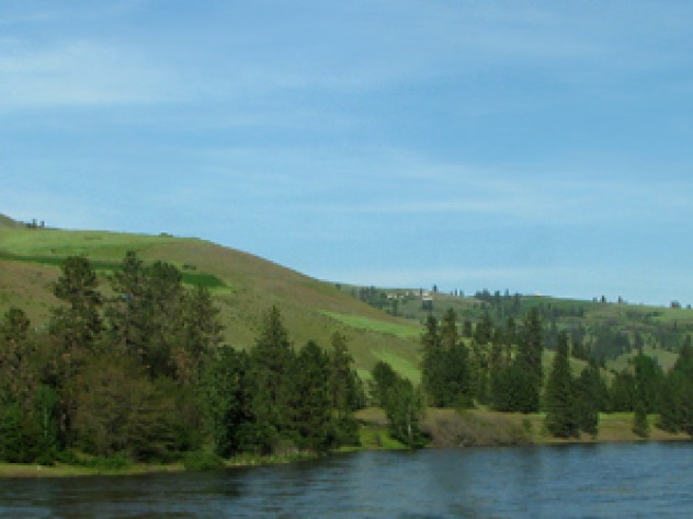 Up the Clearwater to Lolo Pass