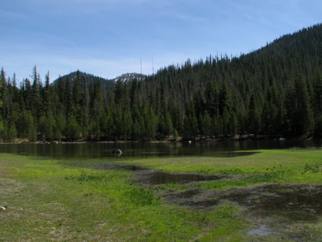 Over Lolo Pass to Bozeman