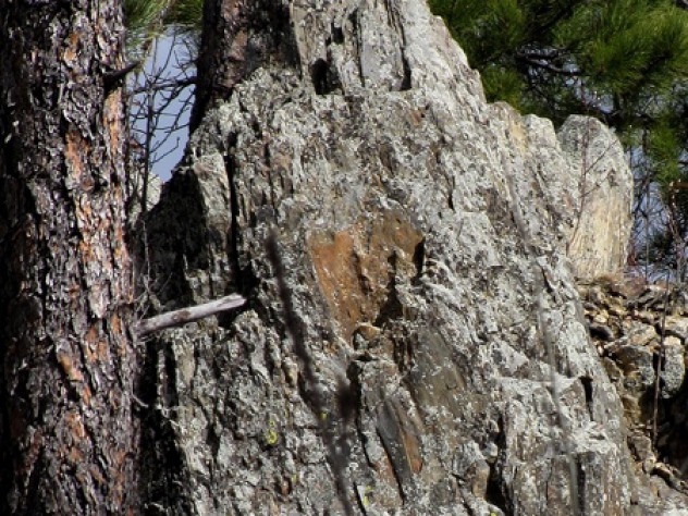 Easter Hike in a Black Hills Snow Squall